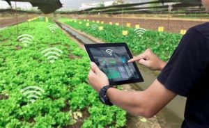 training implementasi teknologi untuk pertanian