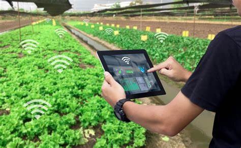 training implementasi teknologi untuk pertanian