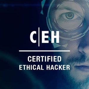 pelatihan sertifikasi ethical hacking profesional